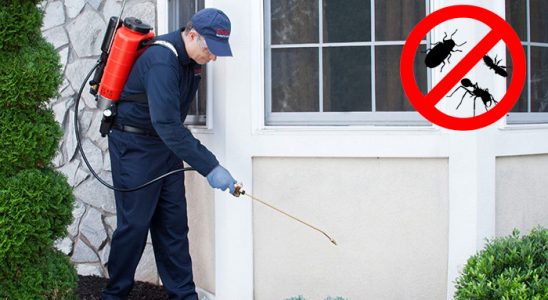 Gölcük Kemirgen İlaçlama böcek ilaçlama ve haşere kontrolü — ilaclama-tr.com